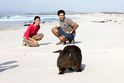 tierische Begegnung am Strand