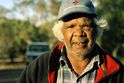 Aborigines