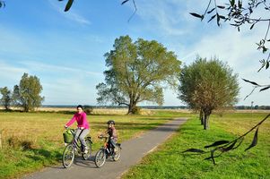 Fahrad fahren auf der Insel Usedom