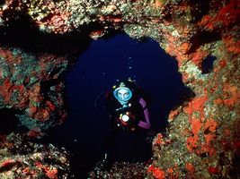 Tauchen rund um Malta, Gozo und Comino
