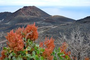 Der Vulkan Teneguia an der Südspitze La Palmas