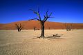 Landschaft in Namibia