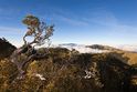 Am Mt. Hehuan