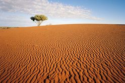 Flinders Ranges