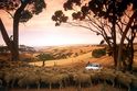 Kangaroo Island, Fahrt durch Schafe