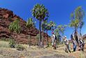 Red Centre Way