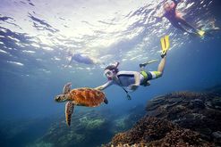 Unterwasserwelt von Australien