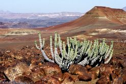 Landschaft in Namibia