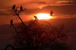 abendliche Idylle
