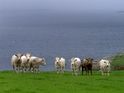 Ein Blick aufs Meer